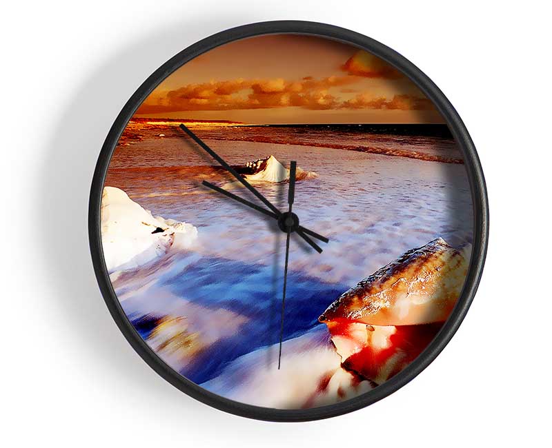 Shells From The Ocean Clock - Wallart-Direct UK