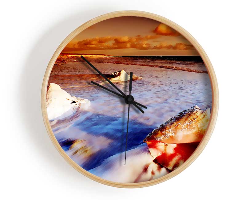 Shells From The Ocean Clock - Wallart-Direct UK