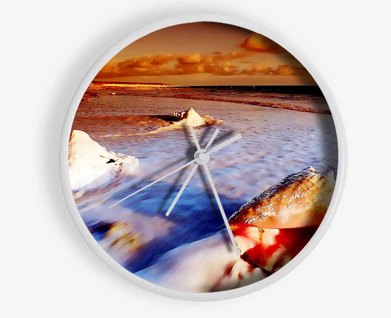 Shells From The Ocean Clock - Wallart-Direct UK