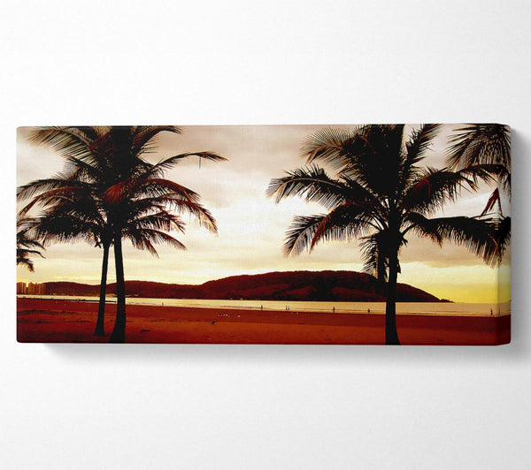 Strand Palme Bergblick