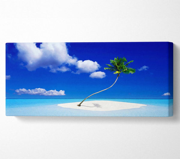 Picture Perfect Ocean