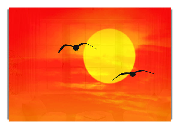 Möwen bei Sonnenaufgang Florida