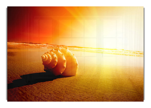 Muschel und Sonne