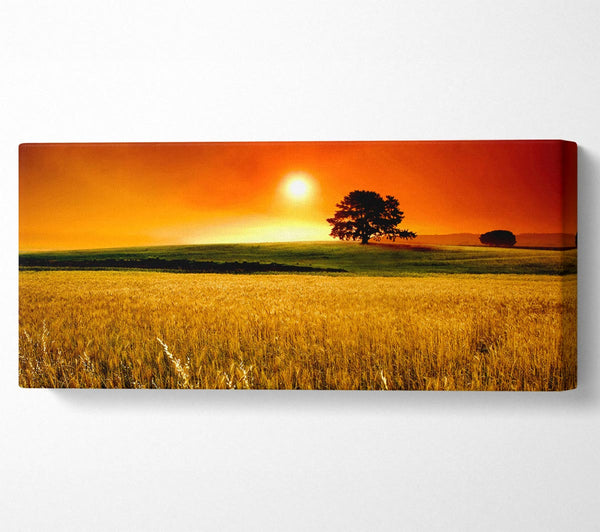 Atemberaubender Sonnenuntergang auf dem Land