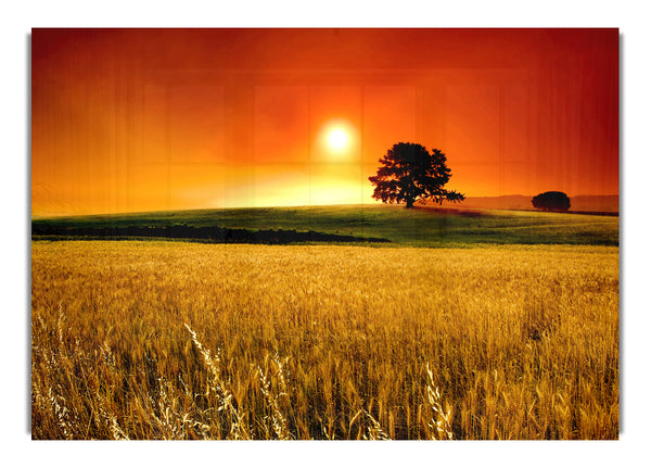 Atemberaubender Sonnenuntergang auf dem Land