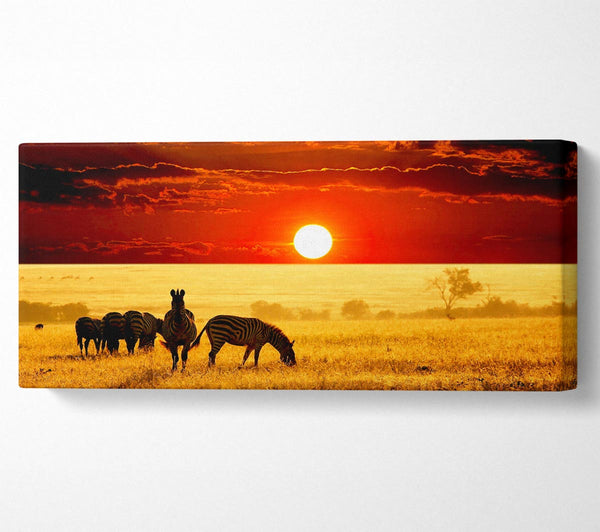 Zebras in der afrikanischen Sonne