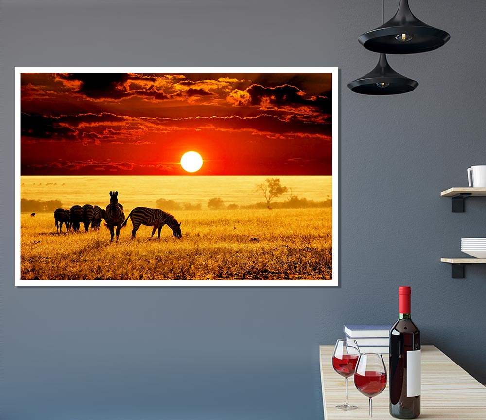 Zebras In The African Sun Print Poster Wall Art