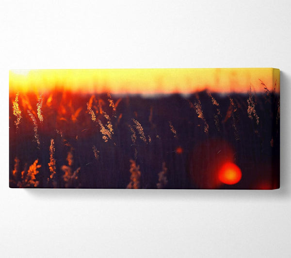 Heißer Sonnenuntergang