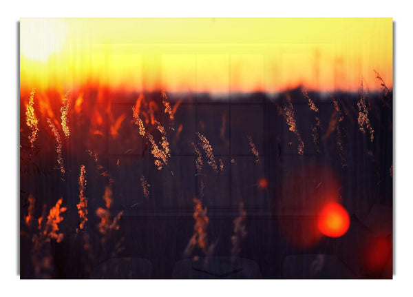 Heißer Sonnenuntergang