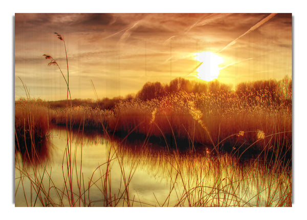 Sonnenuntergang im Bieslandse Wald