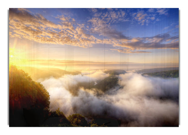 Morgennebel über dem Wald