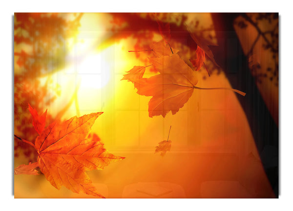 Oranger Herbst