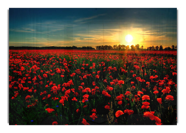 Roter Blumengarten