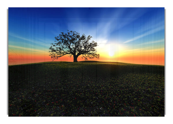 Sonnenuntergangshügel
