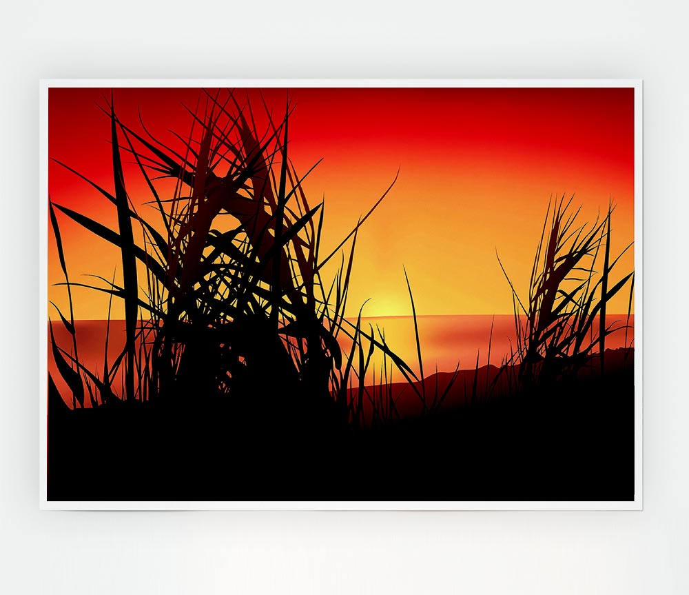 The Sunset Reeds Print Poster Wall Art