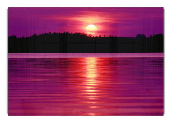 Rosa Seereflexionen