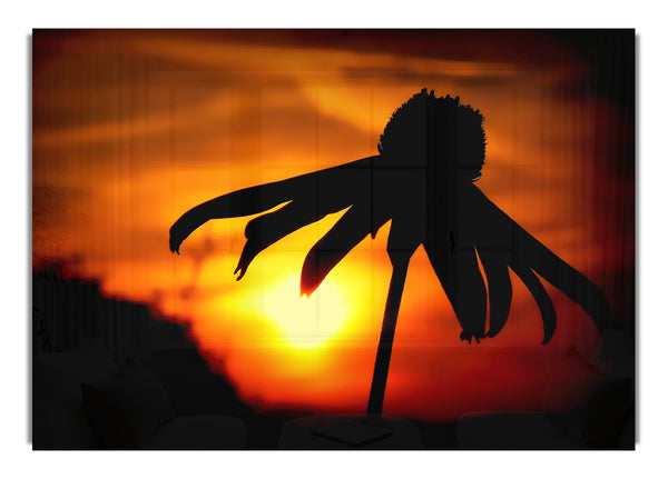 Sonne hinter der Blume