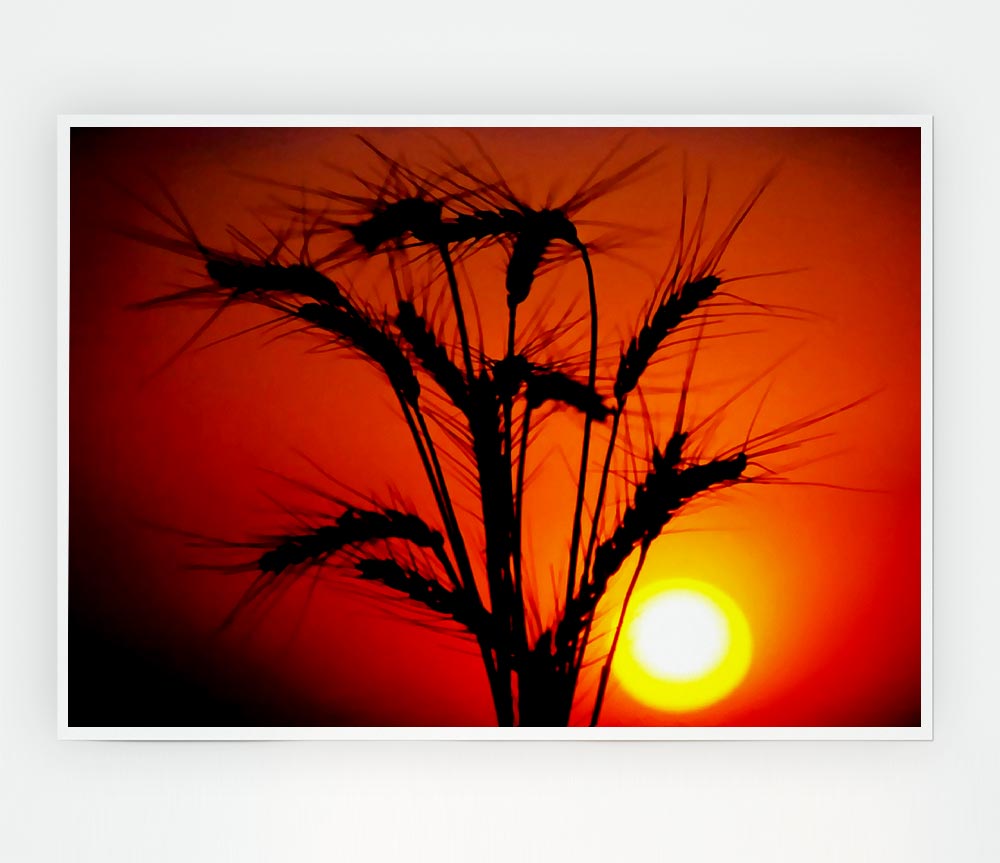 The Wheats Source Of Energy Print Poster Wall Art