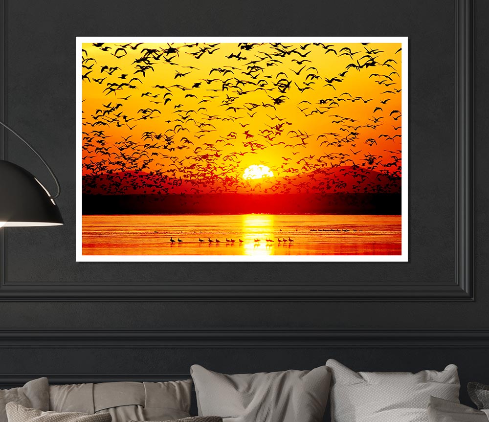 The Birds In The Golden Sunset Print Poster Wall Art