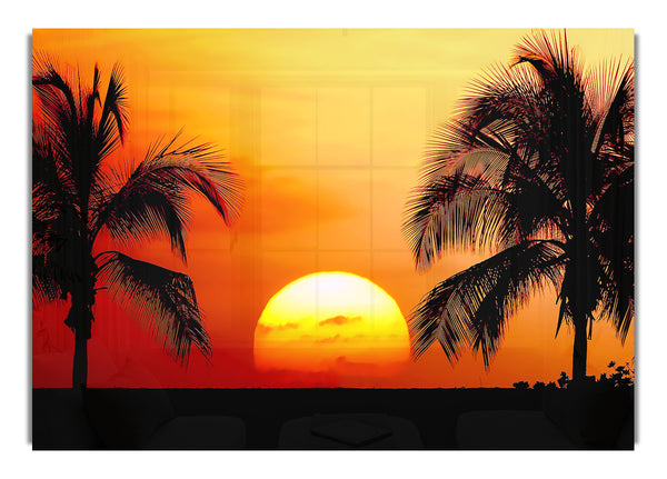 Sun Between The Palmtrees