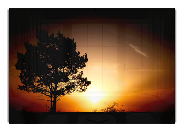 Sonnenaufgang Baum