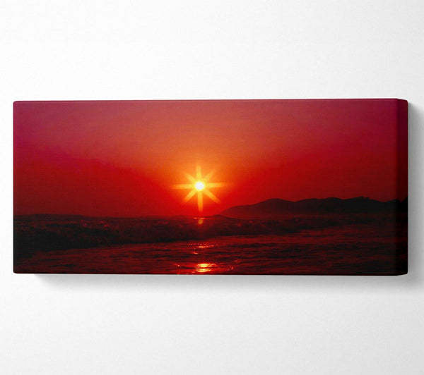 Sunstar Rot