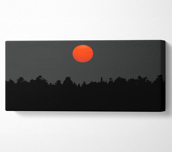 Die rote Sonne über der grauen Baumgrenze