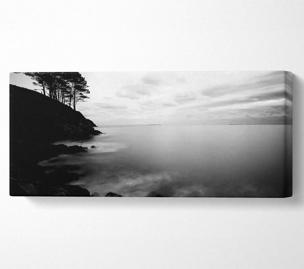 Baumkronen-Ozean-Ruhe-B n W