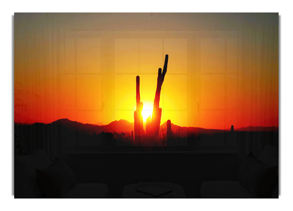 Roter Kaktus-Sonnenaufgang