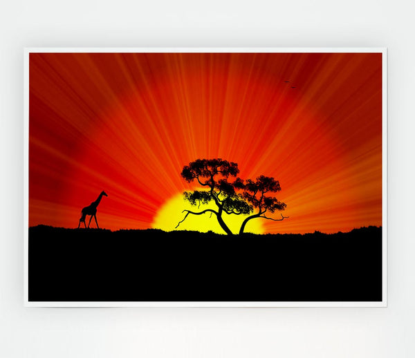 African Sunblaze Print Poster Wall Art