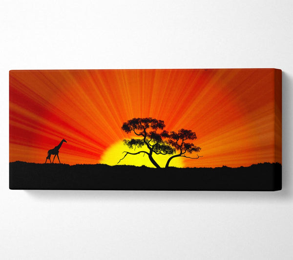Afrikanischer Sonnenbrand