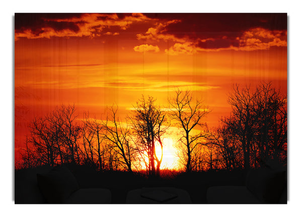 Orange Sonnenuntergang Baumgrenze