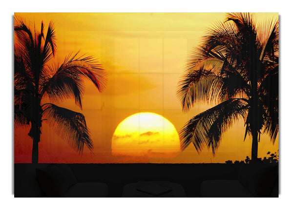 Palmen Sonnenuntergang