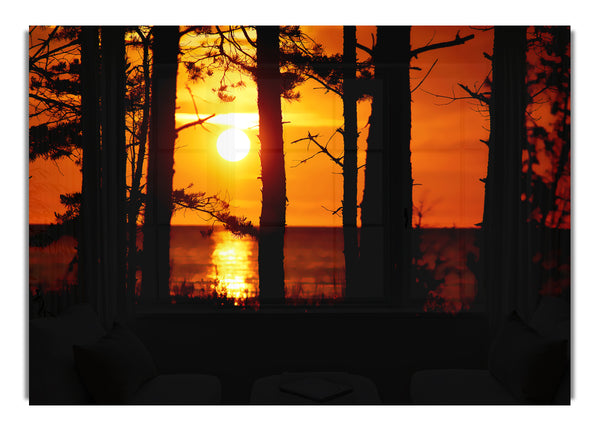 Orangefarbener Sonnenuntergang durch die Bäume