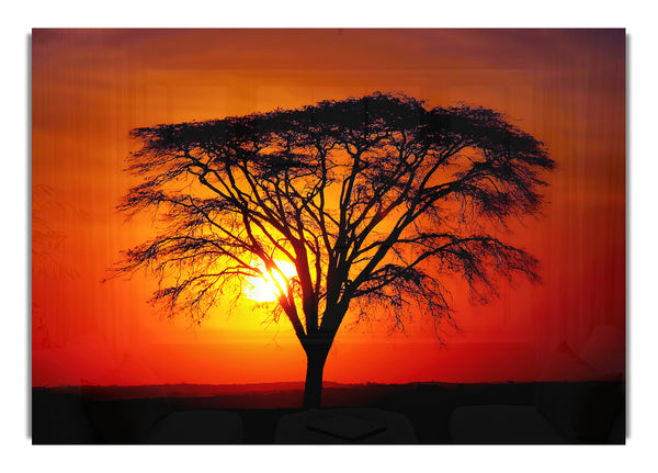 Sonnenuntergang durch die Bäume