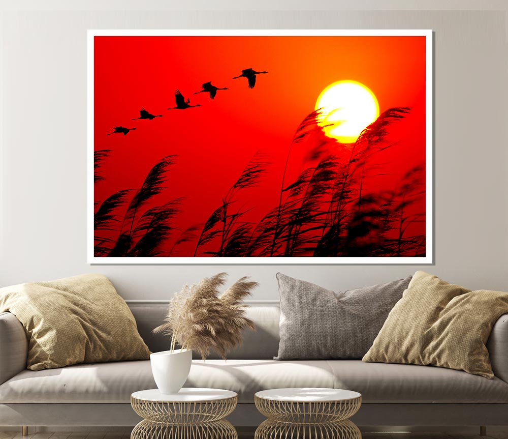 Geese In Flight Under The Red Sun Print Poster Wall Art