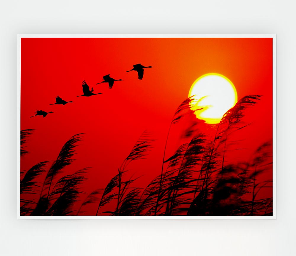 Geese In Flight Under The Red Sun Print Poster Wall Art
