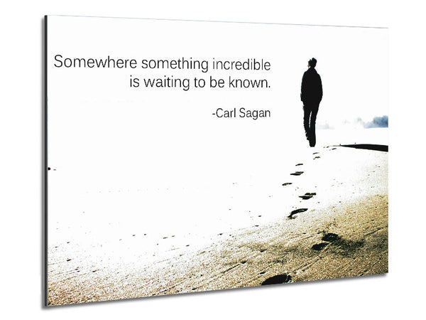 Motivationszitat Carl Sagan Irgendwo Irgendwas