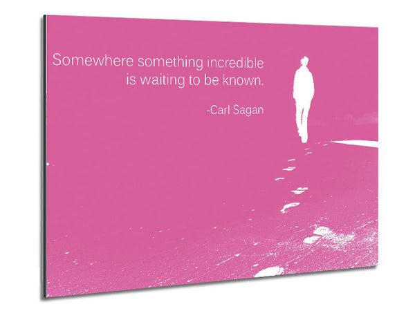 Carl Sagan Somewhere Something Pink Metal Print
