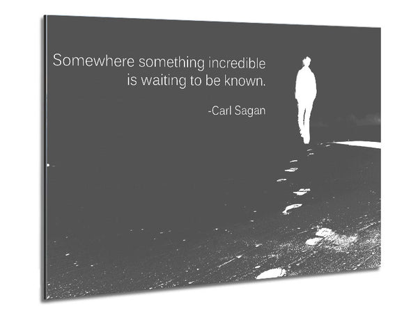 Carl Sagan Somewhere Something Grey Metal Print