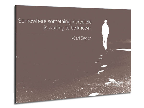 Carl Sagan Somewhere Something Beige Metal Print