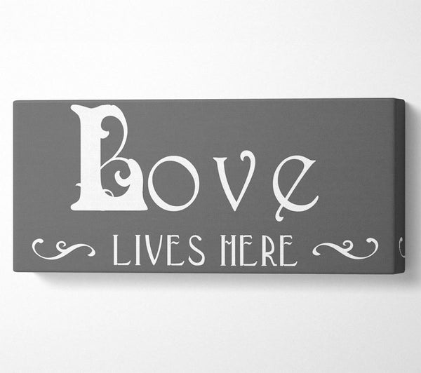 Liebeszitat „Love Lives Here“ – Vines – Grau