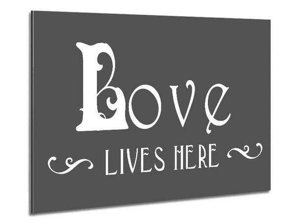 Liebeszitat „Love Lives Here“ – Vines – Grau