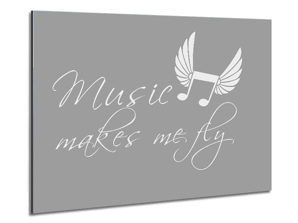 Boys room Quote Music Makes Me Fly Grey White Metal Print
