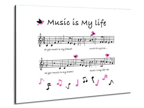 Musik ist mein Leben Weiß