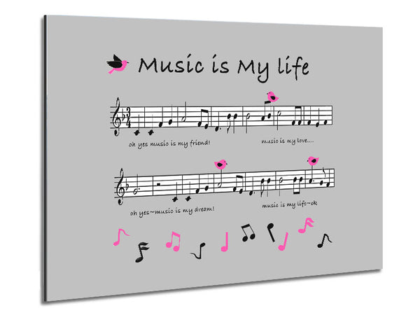 Musik ist mein Leben Grau