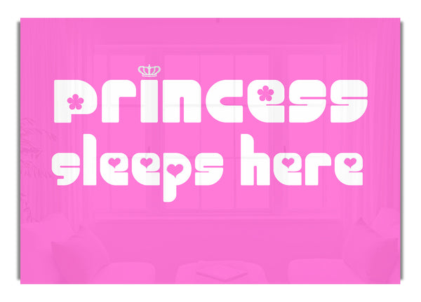 Princesssleeps2 Leuchtendes Rosa