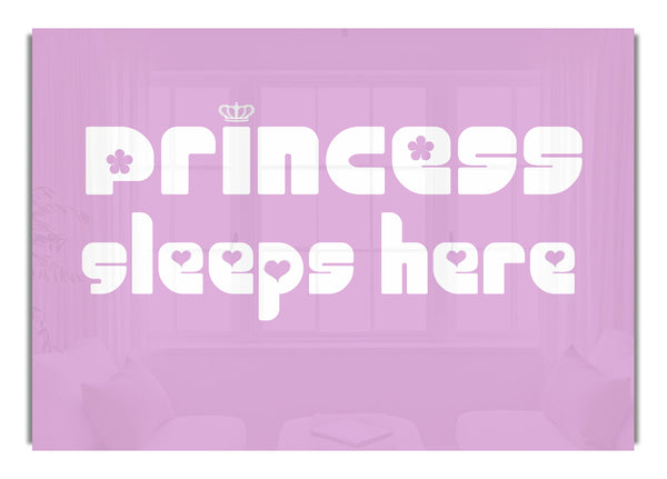 Princesssleeps2 Rosa