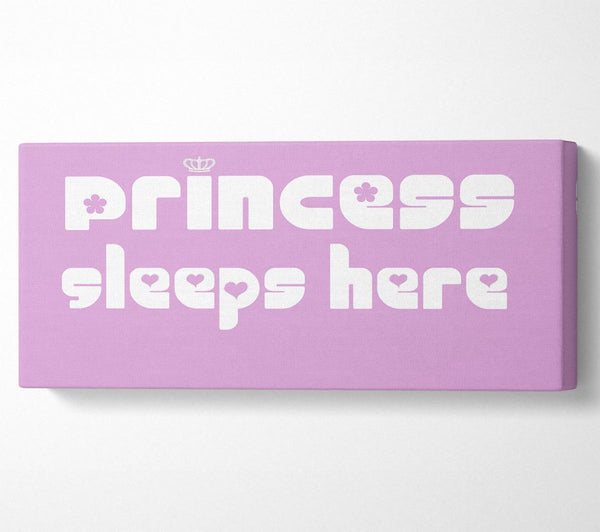 Nursery Quote Princess sleeps 2 Pink