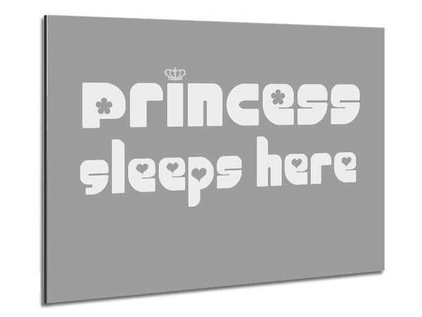 Princess sleeps 2 Grey White Metal Print